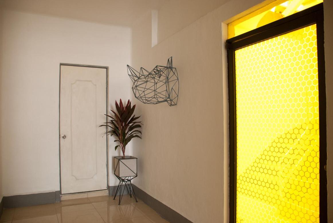 Wanderlust District Panzió Mexikóváros Kültér fotó